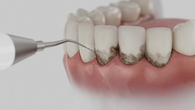 Reliable Dental contractor in Pine Canyon, CA by Dentist Open Now